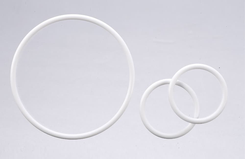 Global PTFE O-ring Seal Market Size, Unleashing Growth Potential and  Forecasted Outlook for 2023-2030